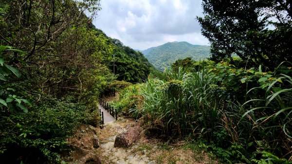 劍龍稜，小粗坑古道，萬壽山，長壽嶺步道，風尾步道，鼎筆橋步道，陽峰古道，康寧步道，惠安公園1768708