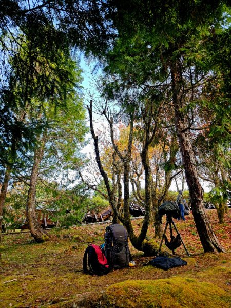 台灣難抵極與祝山觀日步道(小笠原山) - 2024嘉遊好步道．來嘉走走2670128