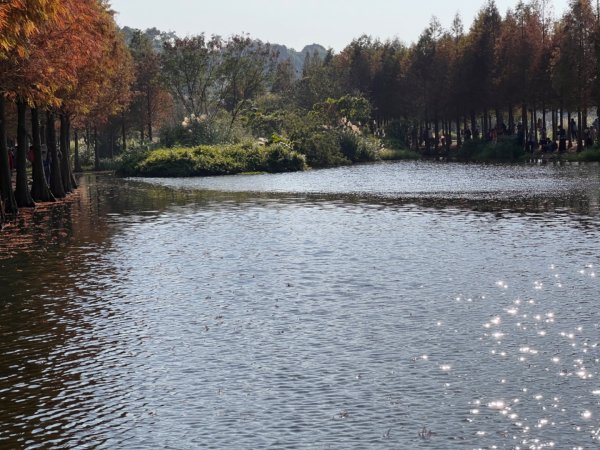 北車-桃園-齋明寺-自行車道-中庄調整池-七張-月眉2684829