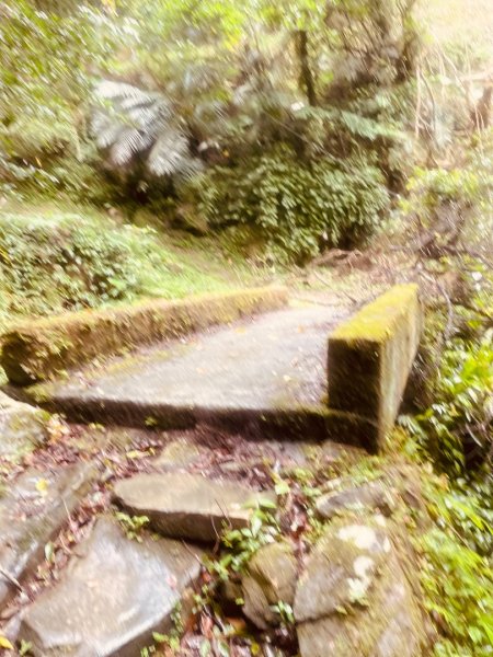 微笑山⛰️線-大棟-二格山-五分山-天上山-鳶山💎12條步道完成💙2834186