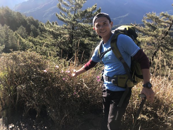 立鷹山.合歡北峰+合歡西峰【全力以赴解鎖979729