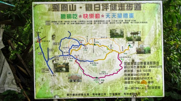 今天，我想來點飛鳳山，叮咚。1142036