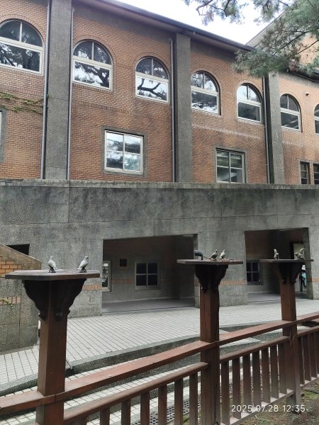 臺大舟山路、大港墘公園、成功高中【臺北健走趣】2848144