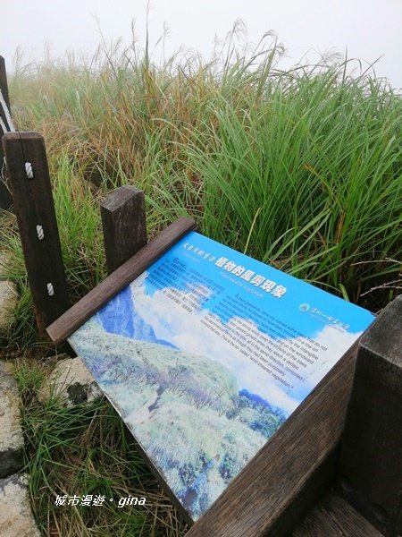 台北市第一高峰。 編號02小百岳七星山1235313