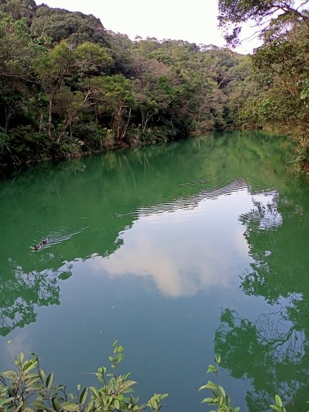 【臺北大縱走 4】幽靜的大崙頭山北面步道1247968