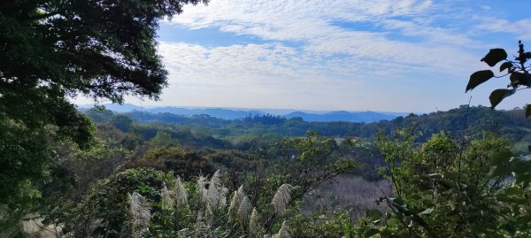 秀才登山步道2658109