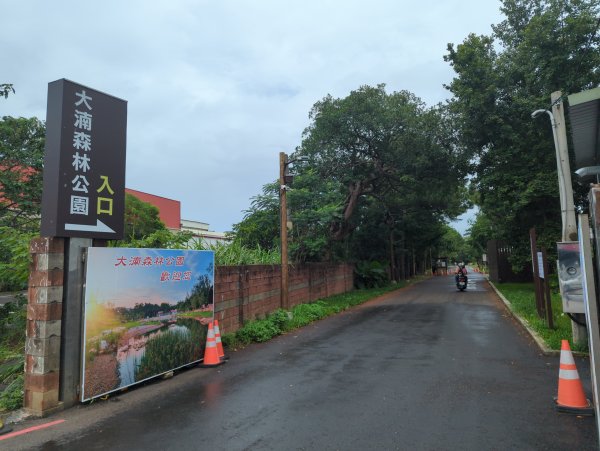 2025.07.20－霄裡好風光：大湳森林公園&亮亮健康樂園2841525