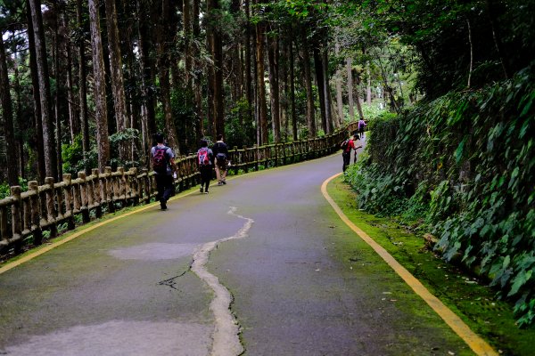 【高雄-小百岳】藤枝山771113