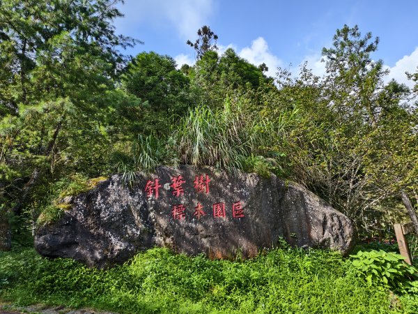 [百山百鳥尋旅-05/15] 2025_0830 溪頭賞鳥步道_賞鳥步道2875041