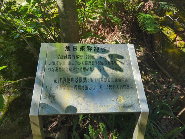 2026.01.25－微笑山線：【天上山系】烘爐地土地公段2994584