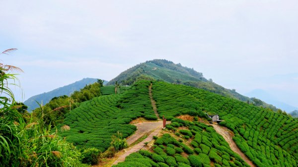 雲嘉五連峰2948654