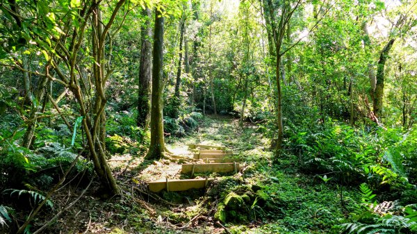 磐石嶺,鳥嘴尖,姜子寮山,姜子寮絕壁2863518