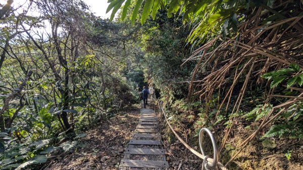 114.12.20劉銘傳隧道-獅球嶺北峰-獅球嶺東砲台山-獅球嶺池-獅球嶺砲台山之旅2966772