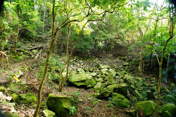 苗栗 泰安 虎山3118659