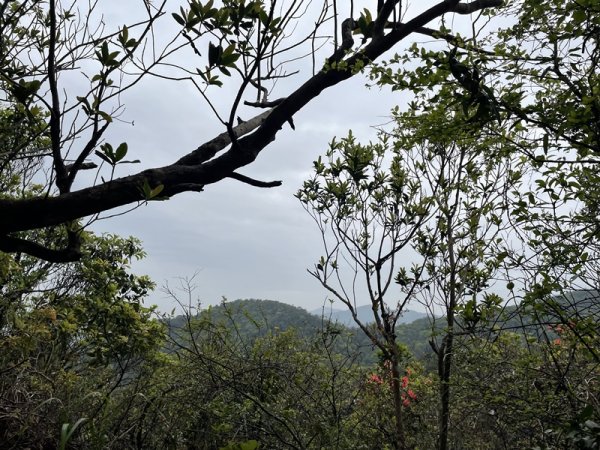 汐止-石碇2761548