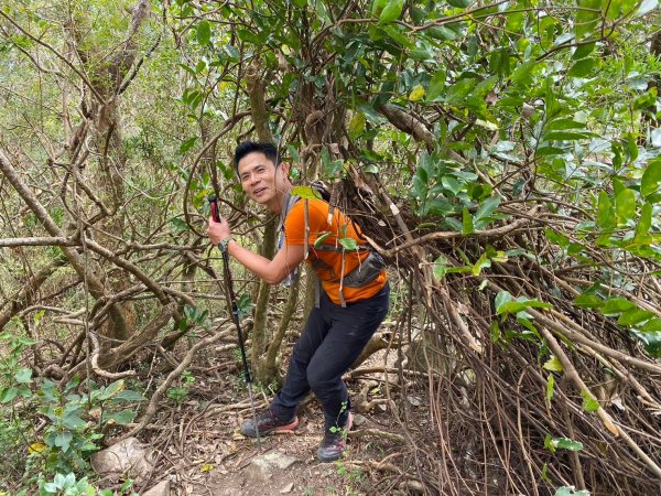 巴層巴墨山【一趟讓人刷新三觀的山林之旅】2714501