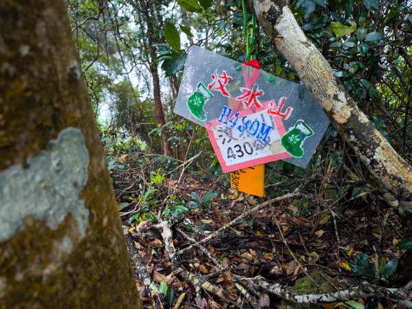2025-03-08 汶水三山：金童山、汶水山、玉女山 連走2736530