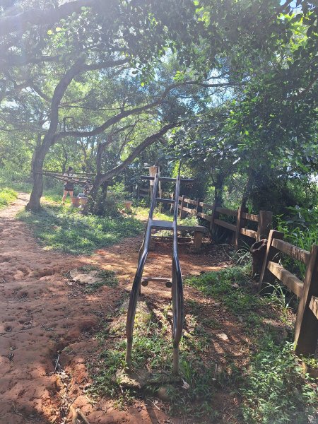 田中森林登山步道＋茶香步道＋赤水崎公園步道202508172862083