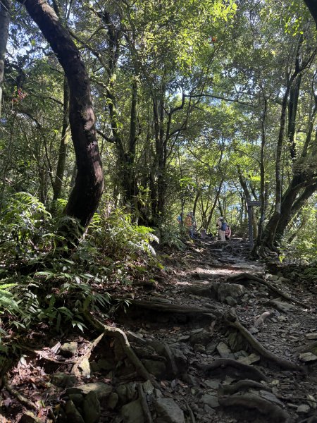 91北大武山（至檜谷山莊）115.10.043128644