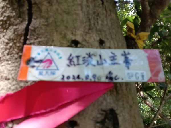 基隆市金交椅山+金交椅南峰+紅淡山東北峰、北北峰、北峰+紅淡山+厲翼嶺出三坑車站2903197