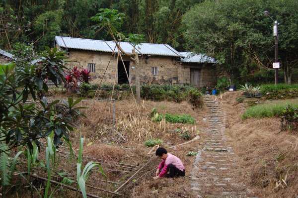坪林金瓜寮溪步道1957849