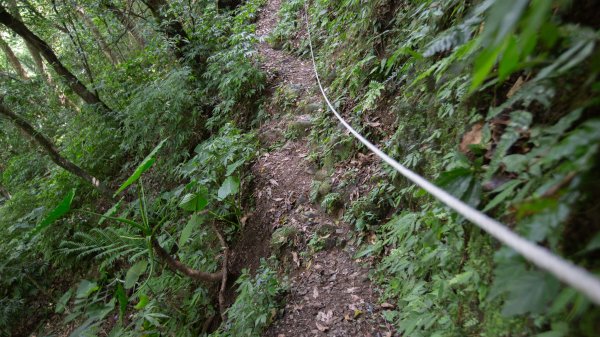 闊瀨古道-沿北勢溪谷而行的夏末之旅（淡蘭古道）2287656