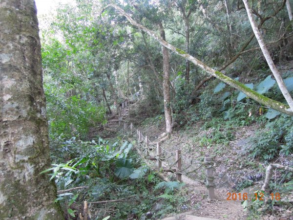 20161218_馬那邦山874324