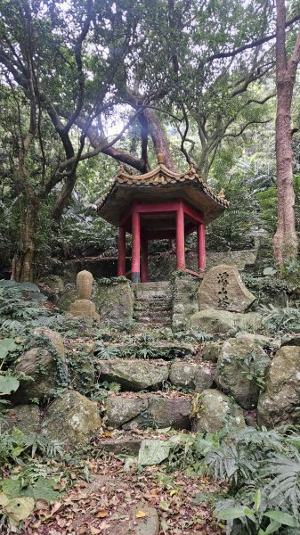 20260220大慈寺參拜道-四十基石-中正山-中正山東南峰3002832