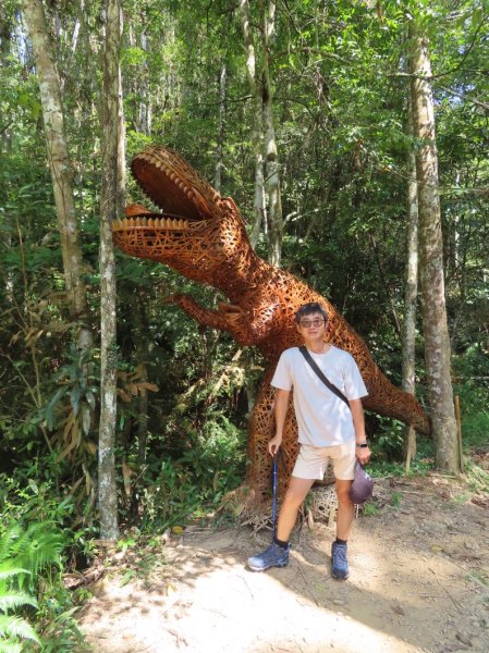 澀水森林步道(+水上瀑布)2915719