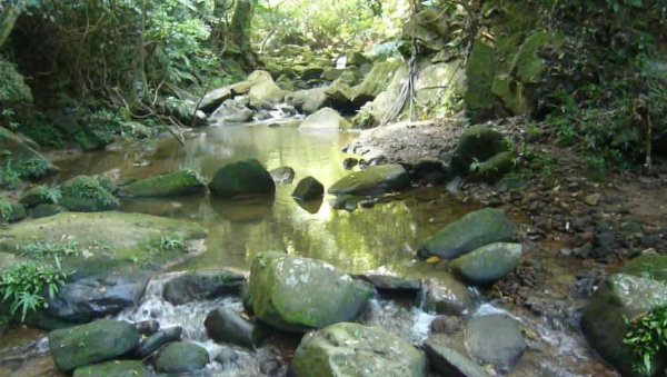 台北大縱走4:尋寶任務：風櫃嘴大湖公園站1069172