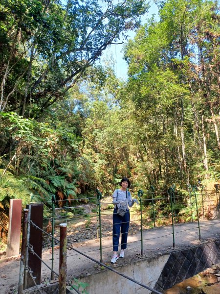 【南投魚池】澀水森林步道2933043