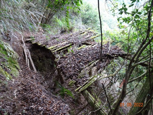 霞山舊鐵道之行1574814