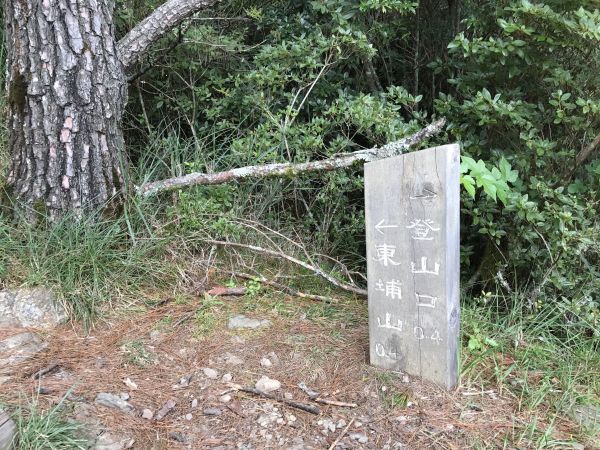 東埔山步道169711