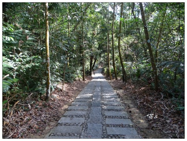 日月潭/青龍山步道754815