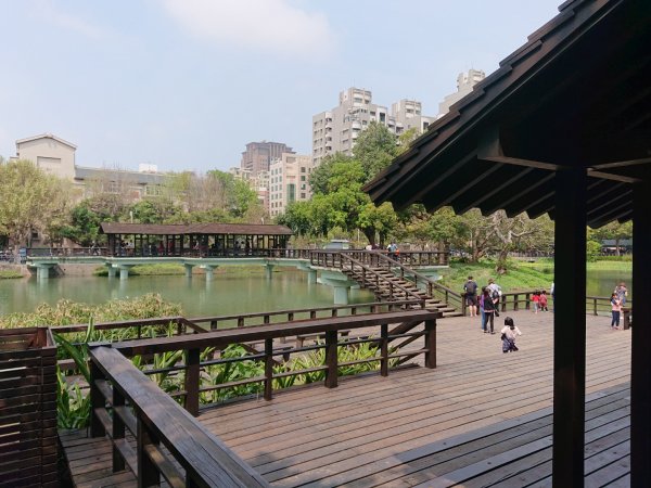 新竹公園-枕頭山871674