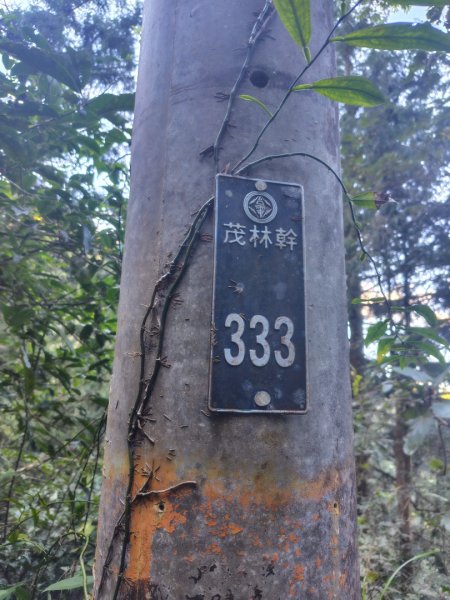 多納六秀 京大山2957573