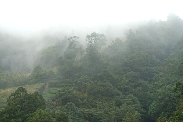 南山寺觀景台3086100