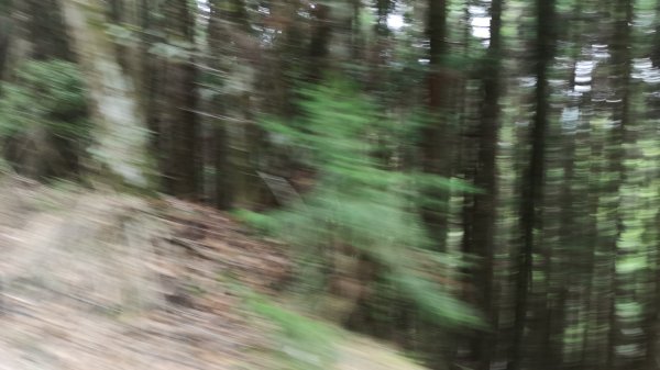 巴庫拉斯，七彩湖1339093