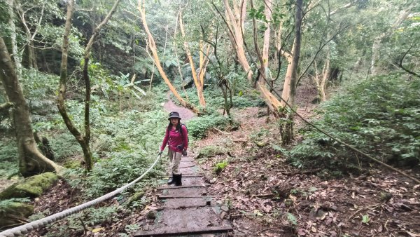 五指山走春3009595