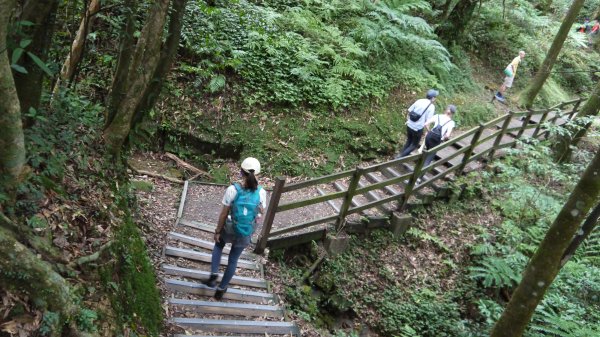 東眼山登山健行趣(小百岳22號)1544321