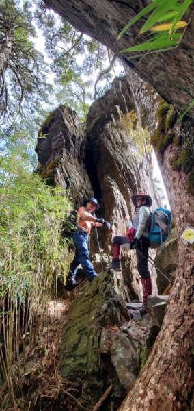 北二段之 甘薯無明2611907