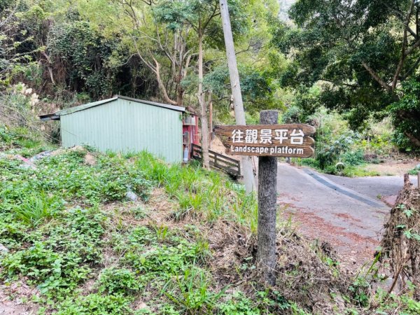 1100306.13鳳凰山.觀音山步道1298221