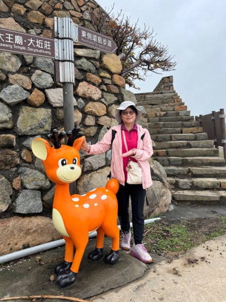 來去馬祖列島 Day 4-1 大坵島/無人島尋自由放飛梅花鹿3042829