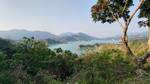 西阿里關山3033633