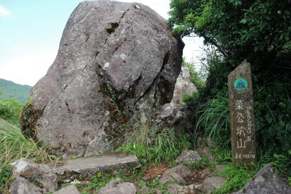 陽明山  菜公坑山 反經石   水車寮步道。林木蓊鬱  豐富的蕨類植披，絕佳避暑古道2174055