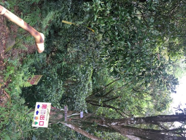 赤柯山、東獅頭山2748533