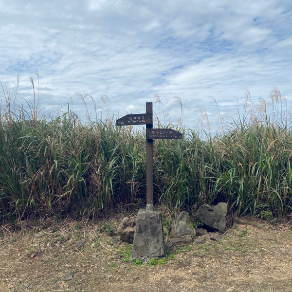 無耳茶壺山步道1284402