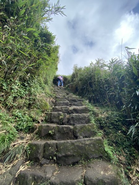 浪漫芒草伴行登頂第一個小百岳七星山1147703