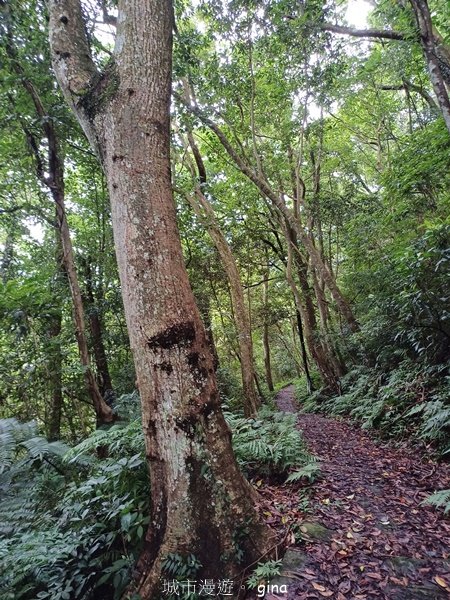 【新竹橫山】廢棄小學變身山城驛站。 逃學古道x大山北月2623211