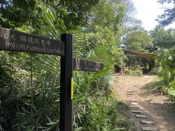 2025微笑山線大縱走尋寶集章任務-Ep.03【鳶山山系】鳶山彩壁段2893708